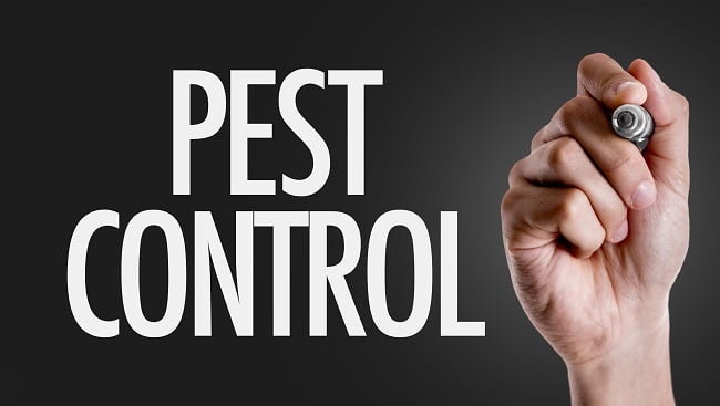 Pest Control For Bed Bugs