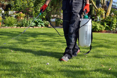 pest exterminator service