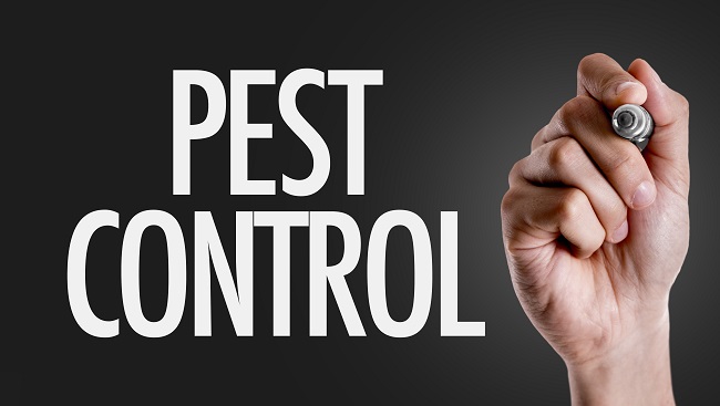 5 Questions To Ask Your Prospective Pest Control Company