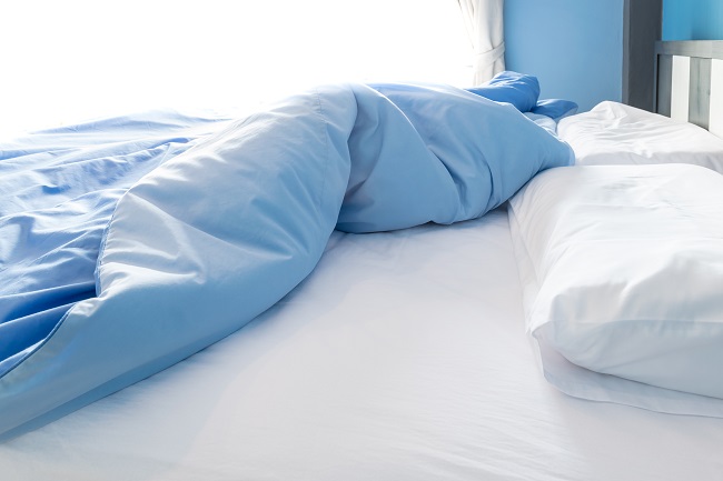 Signs of bed bugs and bed bug bites